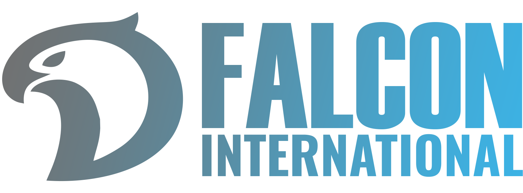DAUD FALCON